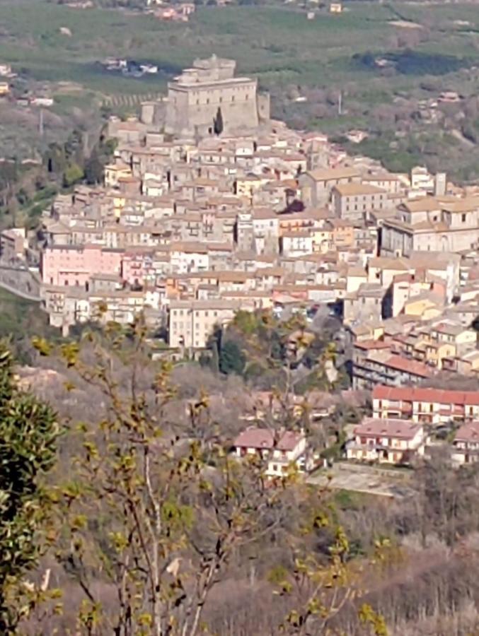 Alloggio Blu Nel Cuore Di Soriano Soriano nel Cimino Bagian luar foto
